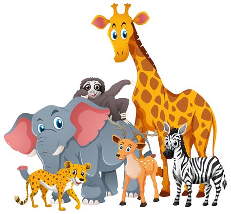 animal clipart